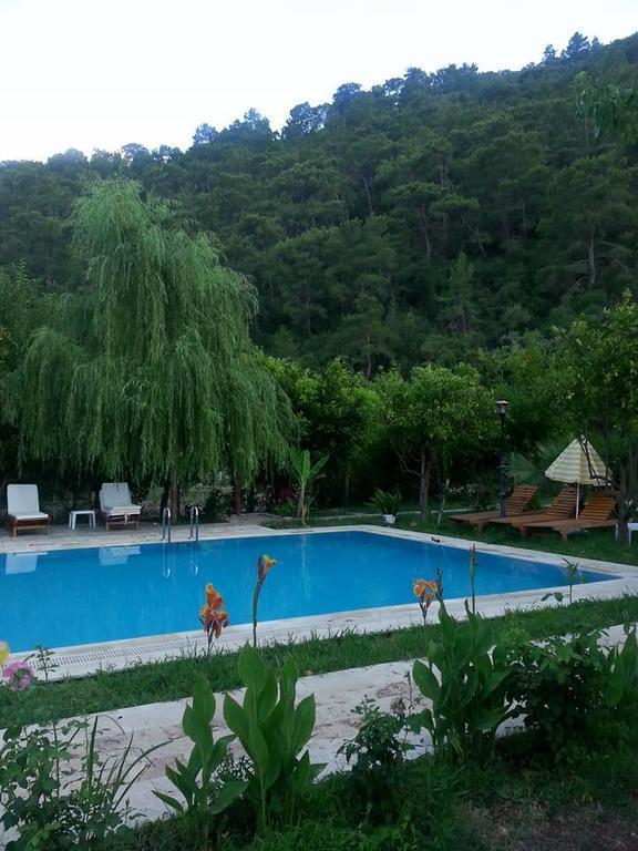 Sedir Palas Hotel Cirali Exterior photo