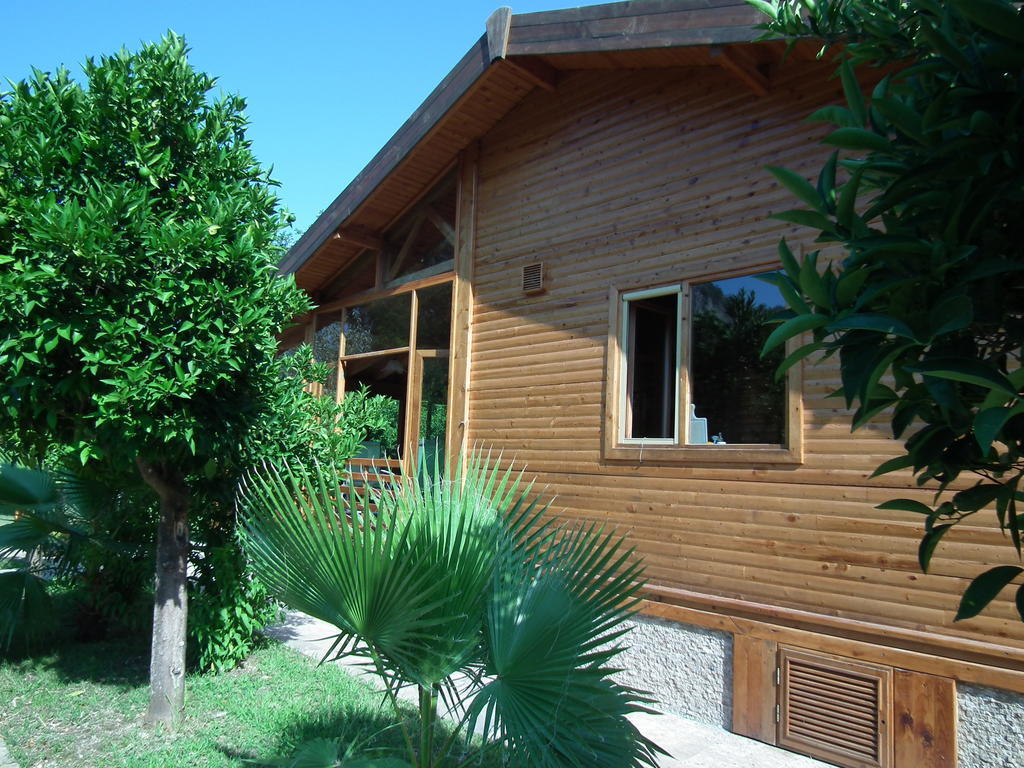 Sedir Palas Hotel Cirali Exterior photo