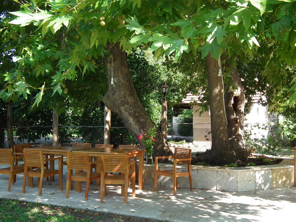 Sedir Palas Hotel Cirali Exterior photo